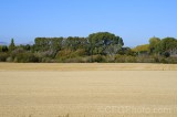 CFGgc57.jpg 93390