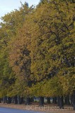 CFGge91.jpg 93624