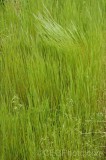 CFGgm90.jpg 94424