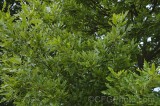 CFGgq64.jpg 94798