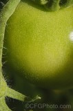 CFGgv34.jpg 95267