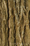 CFGgz79.jpg 95712