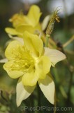 CFGhh80.jpg 96514