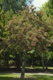 CFGhl29.jpg 96865