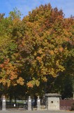 CFGhm00.jpg 96936