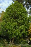 CFGhm39.jpg 96975