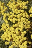 CFGi722.jpg 67876