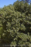 CFGi913.jpg 60985
