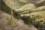 CFGi930.jpg 29780