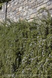 CFGj400.jpg 63077