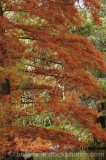CFGj565.jpg 59190