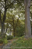CFGj647.jpg 33377