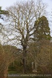 CFGj885.jpg 58643