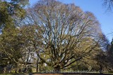 CFGj900.jpg 57134