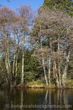 CFGj907.jpg 58725