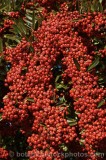 CFGj966.jpg 60576