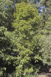 CFGl149.jpg 63941