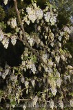 CFGm694.jpg 69892
