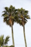 CFGn891.jpg 64988