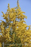 CFGp348.jpg 74121