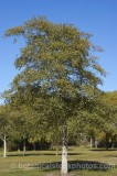 CFGp734.jpg 58738
