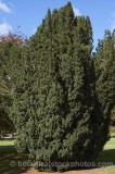 CFGp755.jpg 68287