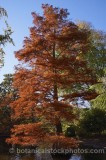 CFGp851.jpg 59197