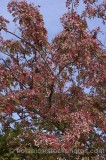 CFGp912.jpg 60104