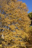 CFGp926.jpg 64841