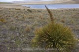 CFGr198.jpg 29786