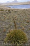 CFGr199.jpg 29787