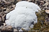 CFGr335.jpg 69835