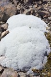 CFGr336.jpg 69836