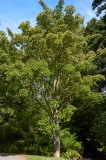 CFGr414.jpg 98479