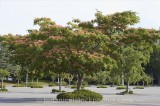CFGr578.jpg 60741