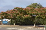 CFGr580a.jpg 60743