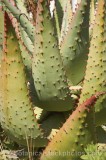 CFGs522.jpg 54618