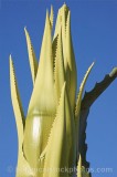 CFGs661.jpg 54508