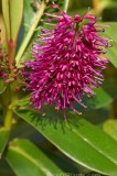 CFGs694.jpg 98844