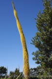 CFGu873.jpg 54525