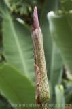 CFGw046.jpg 65679