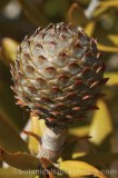 CFGw472.jpg 61063