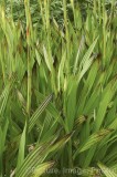 CFGw840.jpg 29822