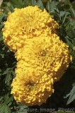 CFGx004.jpg 30254