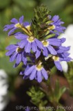 CFGx127.jpg 74575