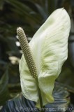 CFGx891.jpg 75391