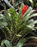 HOU0034.jpg 61497