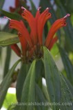 HOU0090.jpg 64009