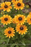 HPA2069.jpg 63160