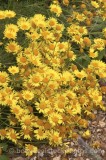 HPA2073.jpg 62280